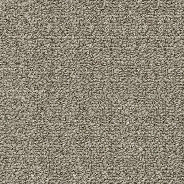Revolution in Desert Taupe